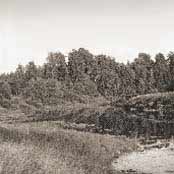 Russia: Research of the supposed Viking Age Settlement of Alaborg at the village of Gorodischte, Municipality of Tikhvin 
