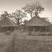 Agongointo